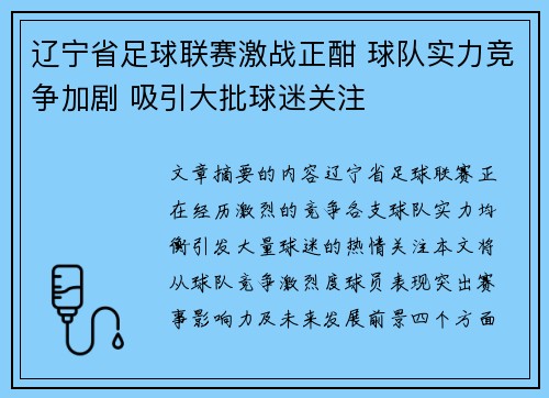 辽宁省足球联赛激战正酣 球队实力竞争加剧 吸引大批球迷关注